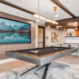 a pool table in a clubroom